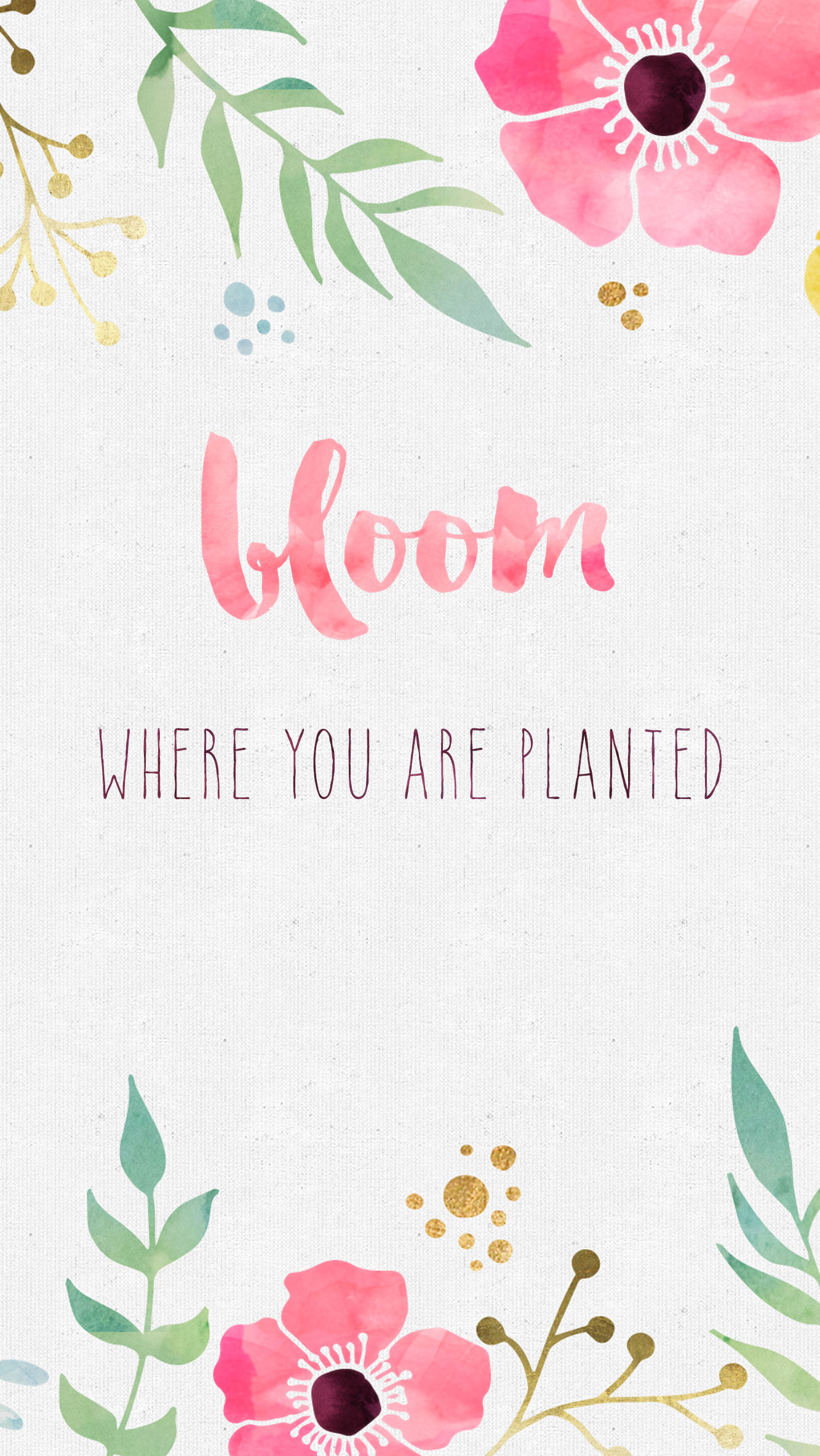 Free Desktop Wallpaper Bloom Where You Are Planted