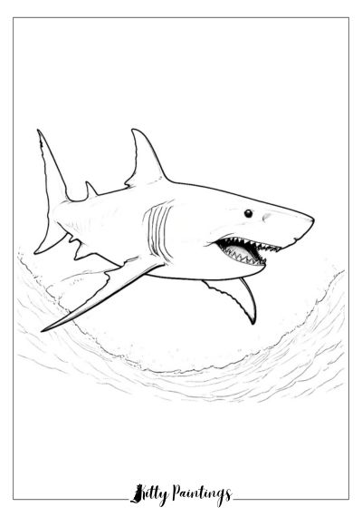 Great White Shark for Coloring