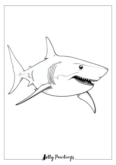 Great White Shark Printable Image