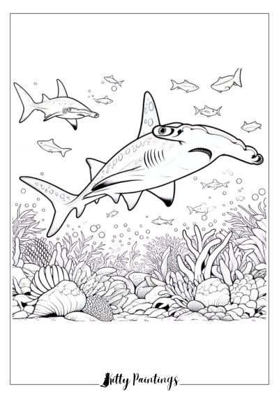 Hammerhead Shark to Color