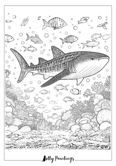 Whale Shark for Coloring