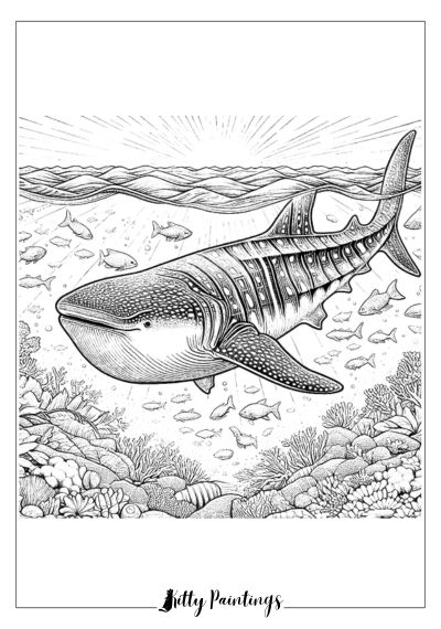 Whale Shark Coloring Sheet