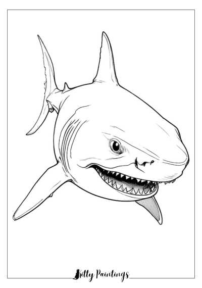 Shark Coloring Sheet